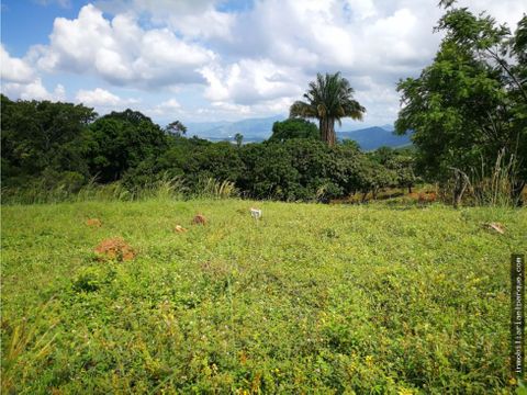 se vende lote vereda ibanez