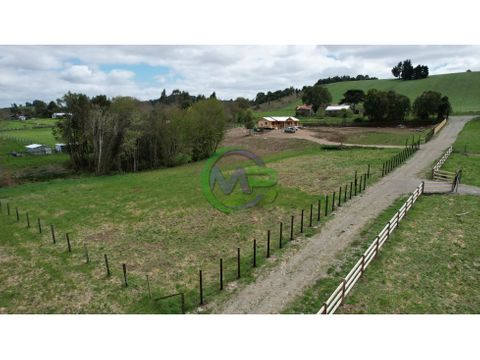 parcela 5000m2 con luz a la puerta en loncotoro llanquihue