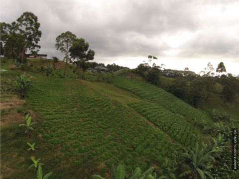 venta amplia finca con hermosa vista via armenia pereira