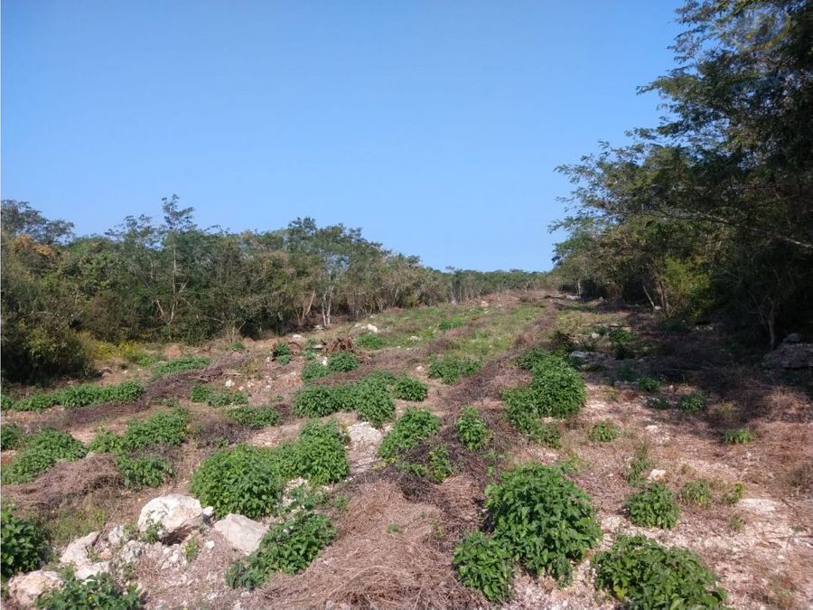 terreno en venta a 15min de merida en mococha yucatan