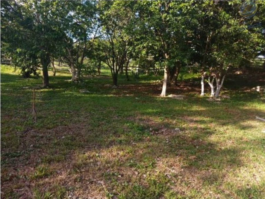 venta rancho de 8 hectareas a 20 min de la ciudad de merida yucatan