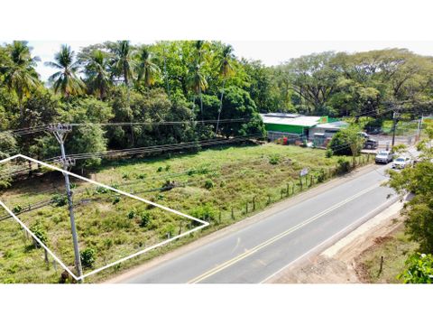 commercial lot in sardinal