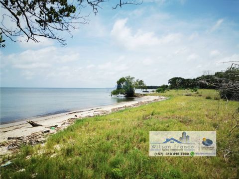 lote terreno en venta playa isla baru cartagena