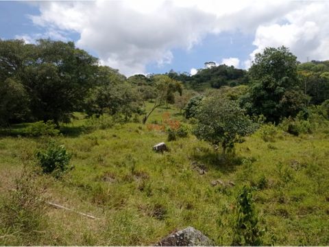 maat vende lote campestre salitre blanco 5096m2 280 millones