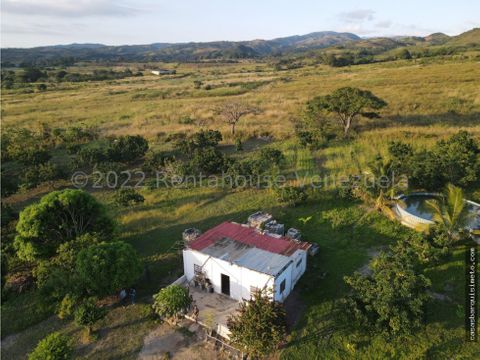 finca en venta municipio pena yaritagua 23 17577 mv