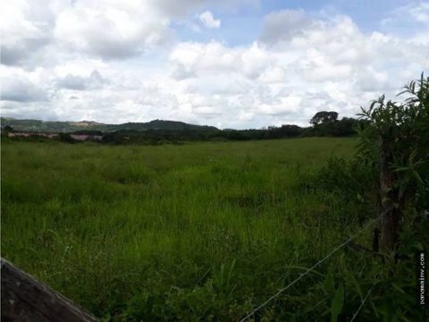 se vende terreno o finca en la chorrera 4177pg