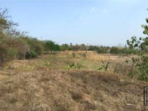 vendo lote en la chorrera sobre la panamericana id5381jd