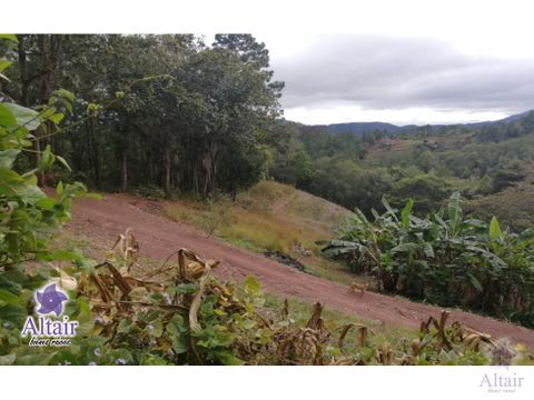 se vende terreno en zarabanda