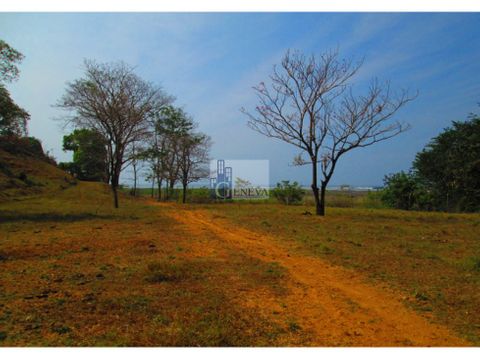 finca en punta ventana en veraguas