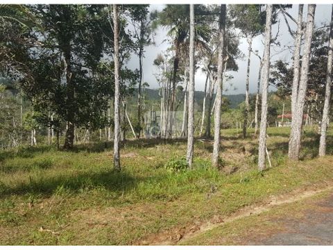 terreno en venta en cerro azul