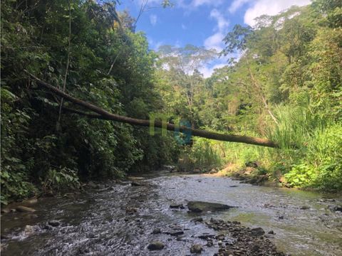 venta de finca en limon