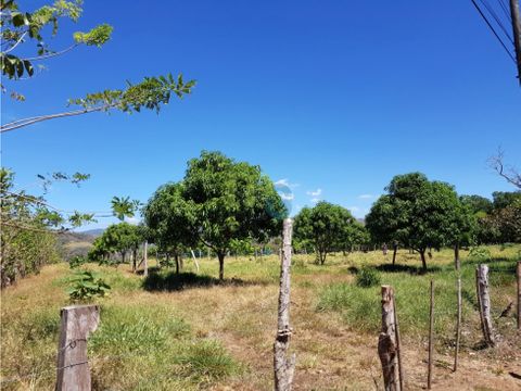 venta de finca en turrubares