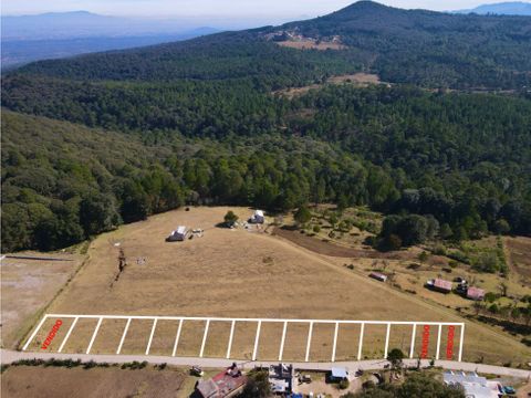 se venden lotes en omitlan de juarez hidalgo 300 m2