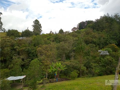 lote independiente vereda carmana carmen de viboral