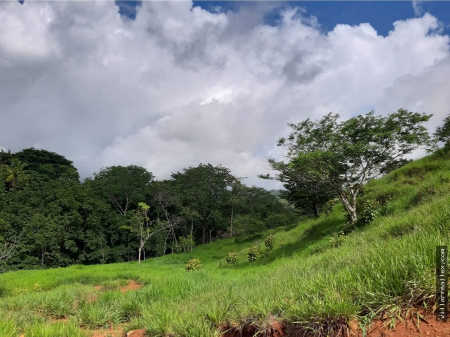 v449 espectacular terreno en venta en nandayureguanacaste
