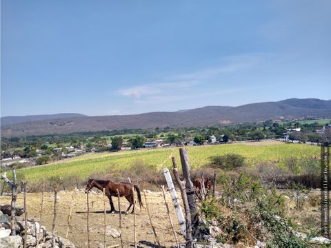 terreno en col alejandra tlaltizapan