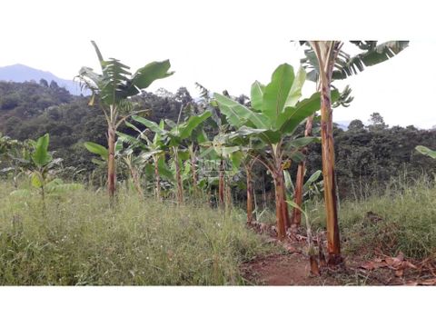 venta de finca por calarca