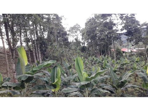 se vende finca en cordoba quindio