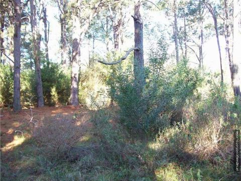 terreno en el bosque en el caracol