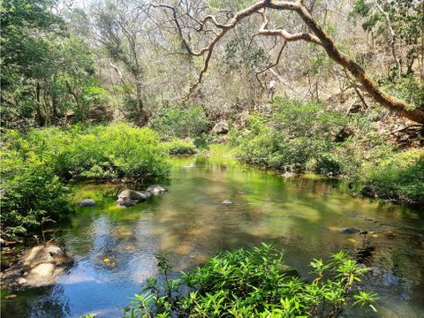 vendo finca ganadera palmira canas guanacaste 53 ha