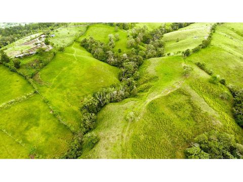 venta finca ganadera o agricola puntarenas san vito coto brus