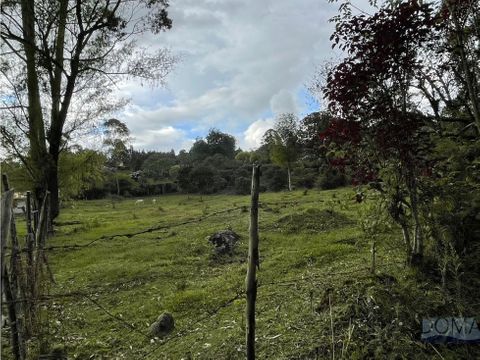 venta lote en guarne con hermosa vegetacion