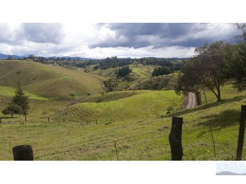 venta lote de para desarrollos en el carmen de viboral