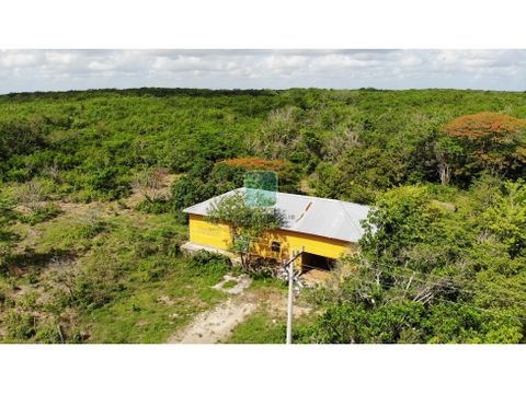 rancho chujuk en tinum en venta