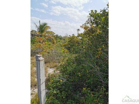 terreno en chelem puerto yucatan de 417 metros cuadrados