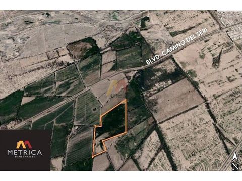 terreno 7 has por camino de seri en hermosillo