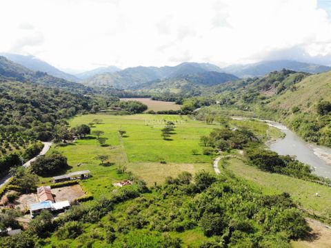 finca plana en barragan quindio 26 cuadras