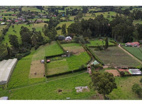 vendo 4 lotes uno con casa en tabio cundinamarca