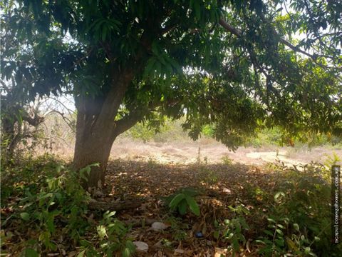 terreno venta cerca laguna barra vieja