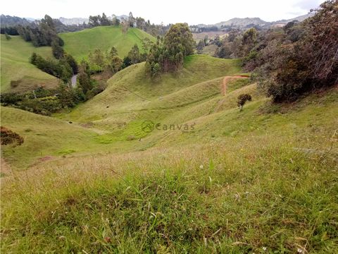 lotes en proyecto parcelacion el retiro