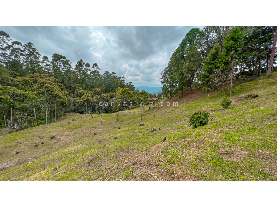 lote independiente sector sajonia rionegro