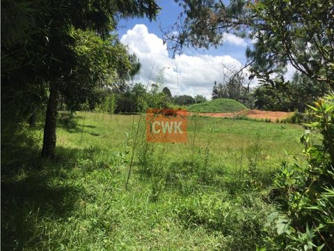 venta de lote en llanogrande