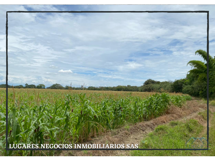 terreno cultivable a la venta en castilla tolima 53 ha rural