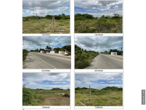 terreno en venta ubicado en san bruno yucatan