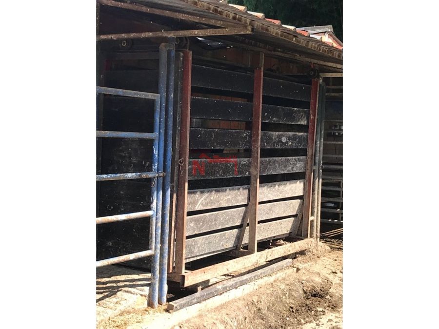 venta finca productiva en ganado montenegro 61 cuadras