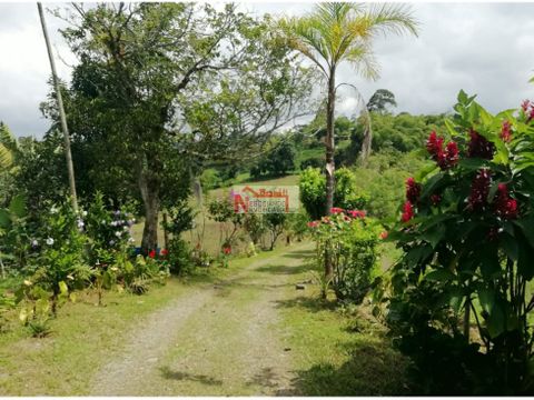 venta finca ganadera filandia quindio 14 cuadras