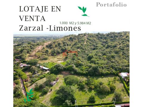 venta lote campestre independiente zarzal sector limones