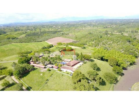 venta finca productiva quimbaya 228 cuadras