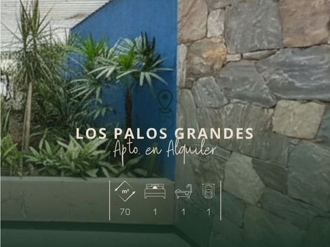 los palos grandes alquiler apartamento 1h1b1e