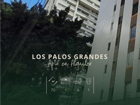 los palos grandes alquiler apartamento 70mt2 1h1est 1b 1e