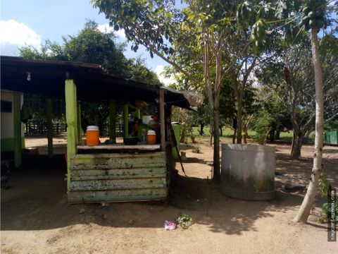 venta de finca arjona