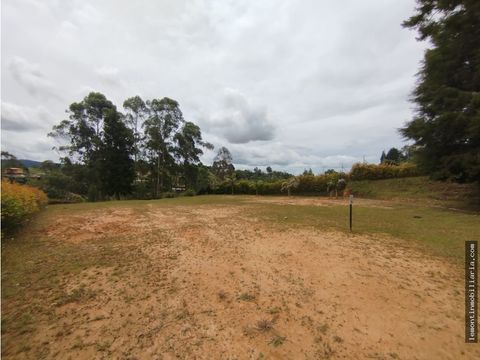 lote en venta en rio negro