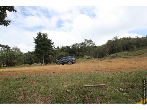 lote en guarne vereda el molino