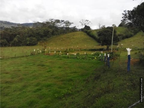 lote en guarne vereda el molino