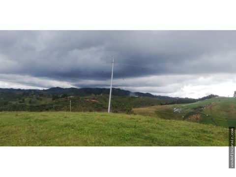 lotes en vereda ovejas entre guarne y girardota