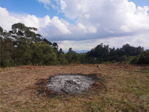 venta de lote vereda los pinos rionegro